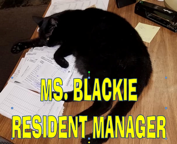 Ms Blackie